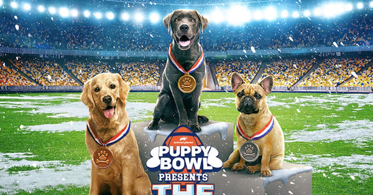 puppy-bowl-the-winter-games-discovery-plus-streaming-series-header