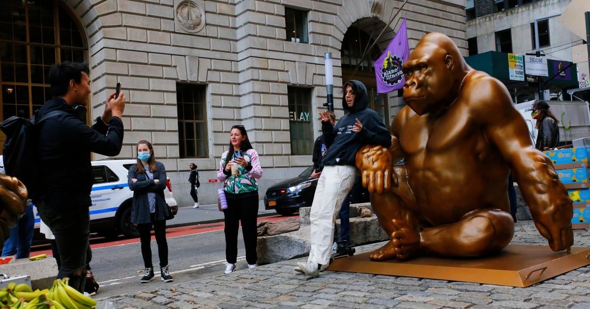 cincinnati-bengals-player-sam-hubbard-win-super-bowl-late-gorilla-harambe