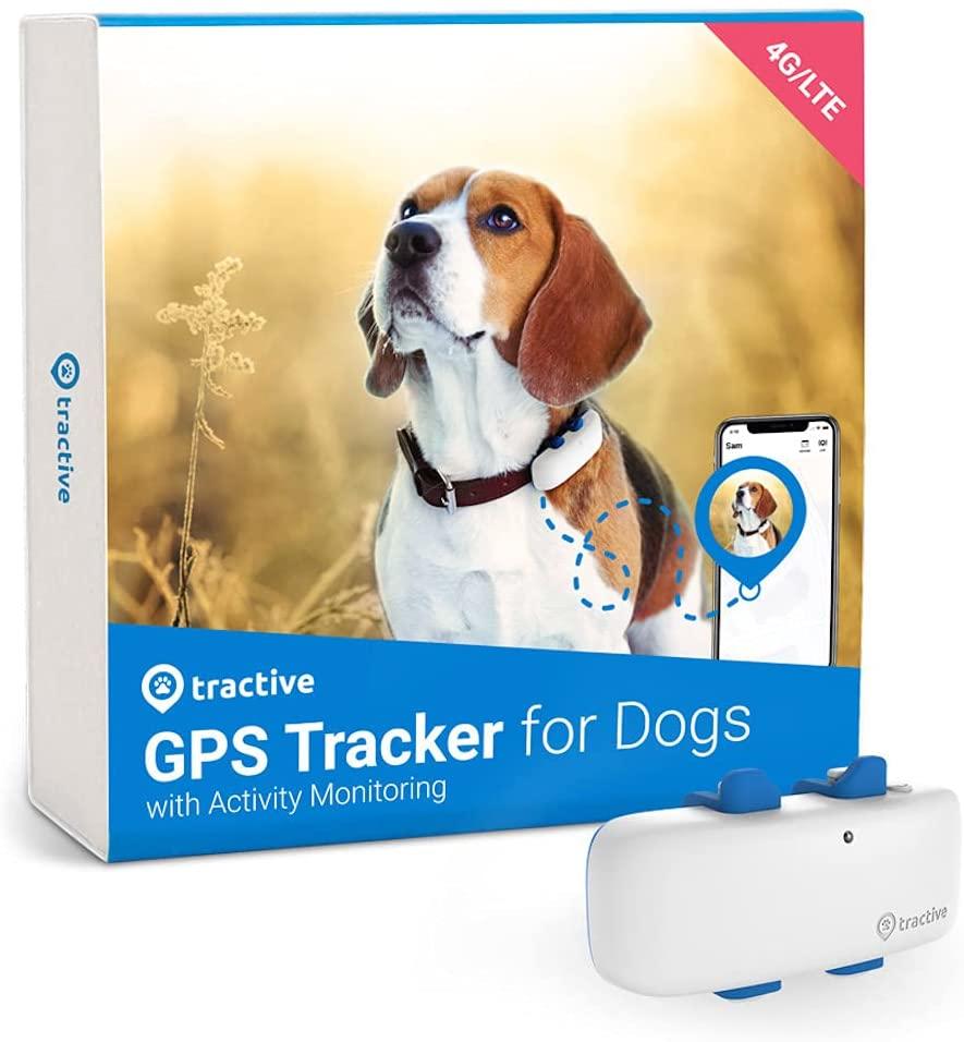 amazon-gps-pet-tracker.jpg amazon-gps-pet-tracker.jpg