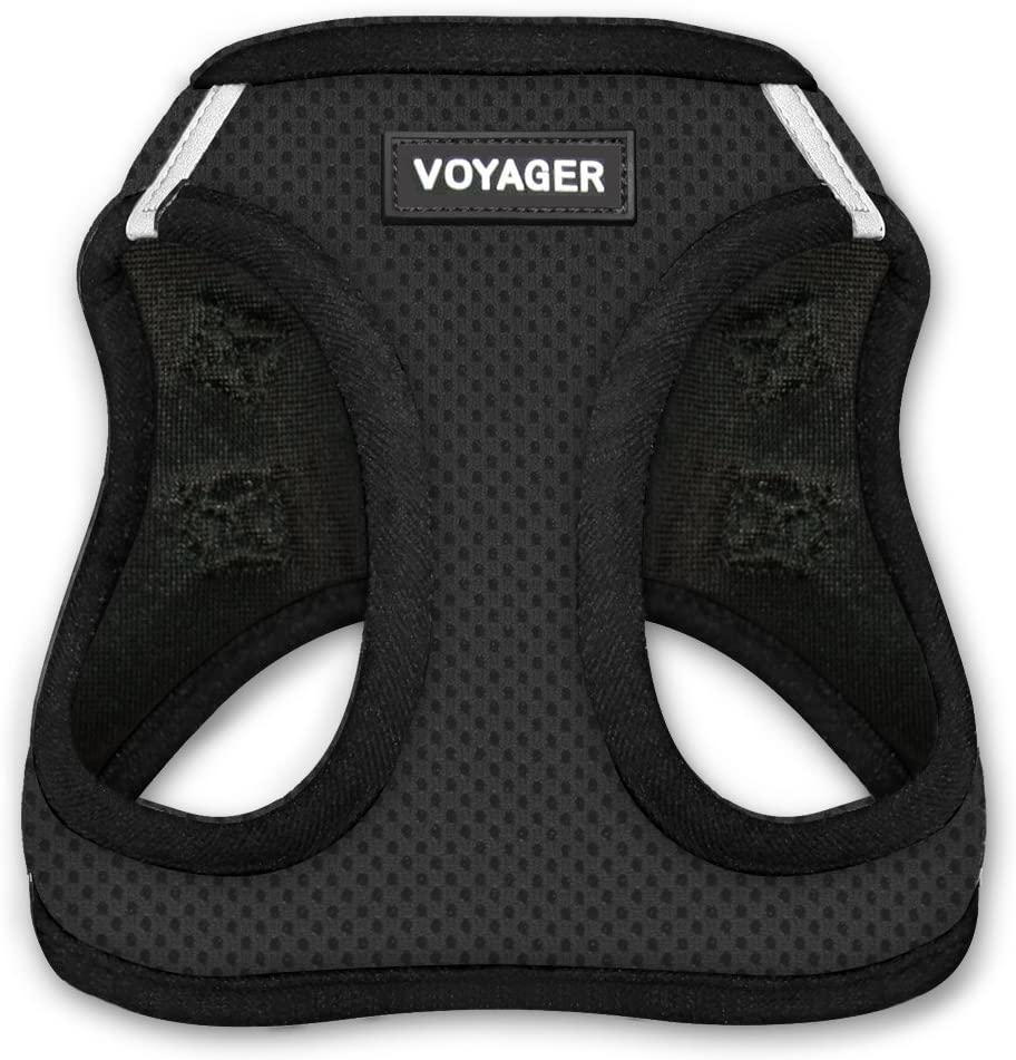 amazon-step-in-pet-harness.jpg amazon-step-in-pet-harness.jpg