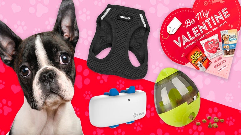 Valentine's Day 2022: 7 Problem-Solving Products for the Best Pet in Your Life