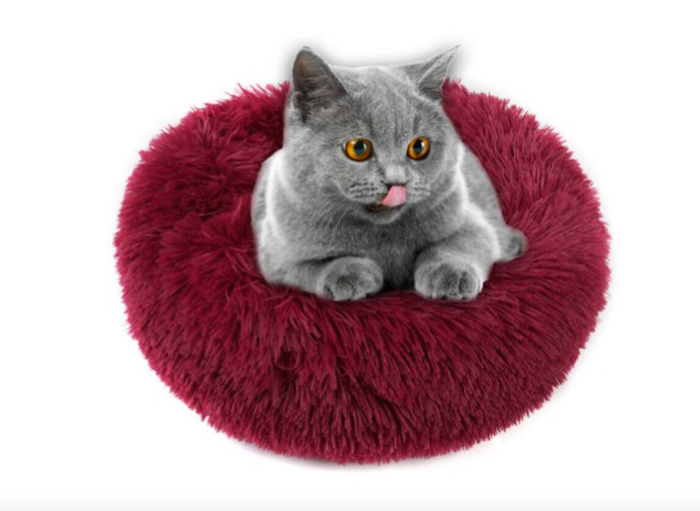 cat-bed.png cat-bed.png