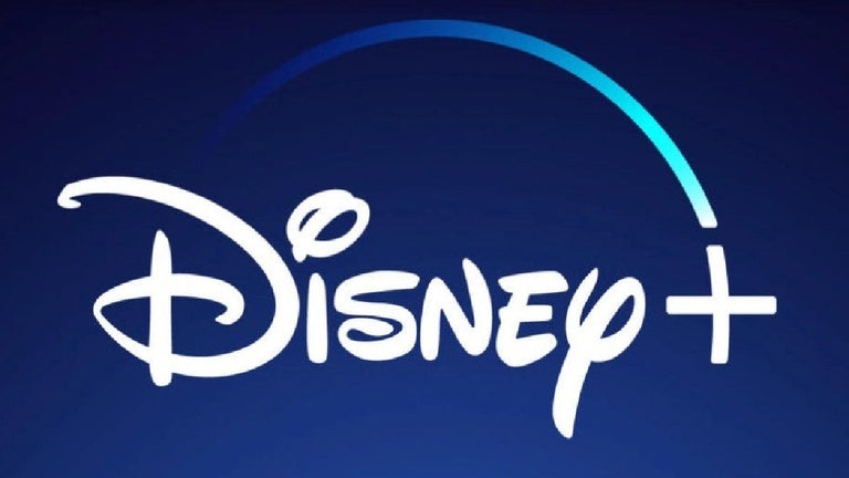 Disney+ Cancels New Series Based on Graphic Novel After Just One Season