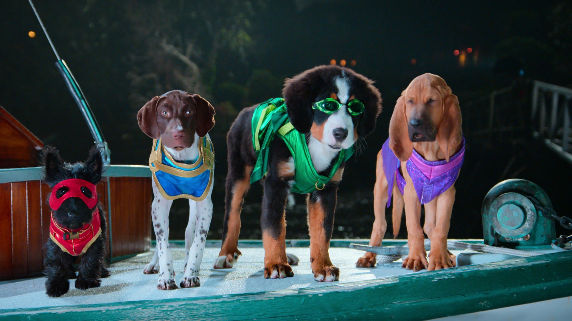netflix-super-pupz.jpg netflix-super-pupz.jpg