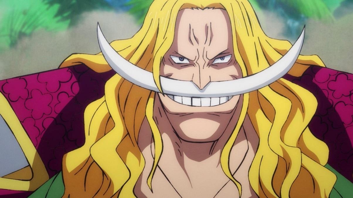 One Piece Teases a Whitebeard Crew Comeback with New Title