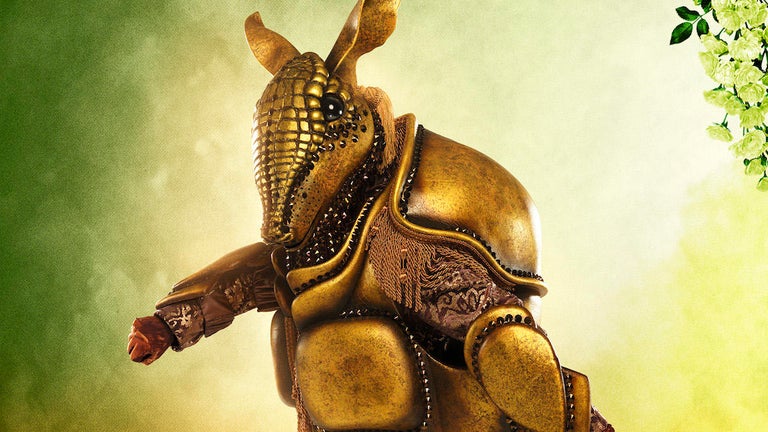 Who Is Armadillo in 'The Masked Singer' Season 7?