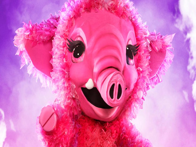 'The Masked Singer': Baby Mammoth Is a Controversial Actress