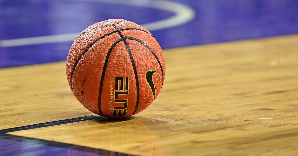 Fans Get Into Wild Brawl During Bryant vs. Wagner Basketball Game