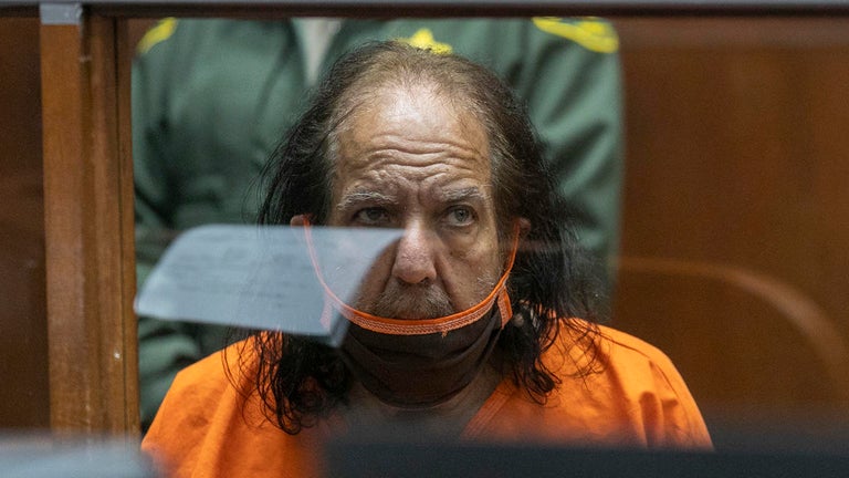 Ron Jeremy Hearing Delayed After Alleged Mental 'Breakdown,' Sent to Mental Health Facility