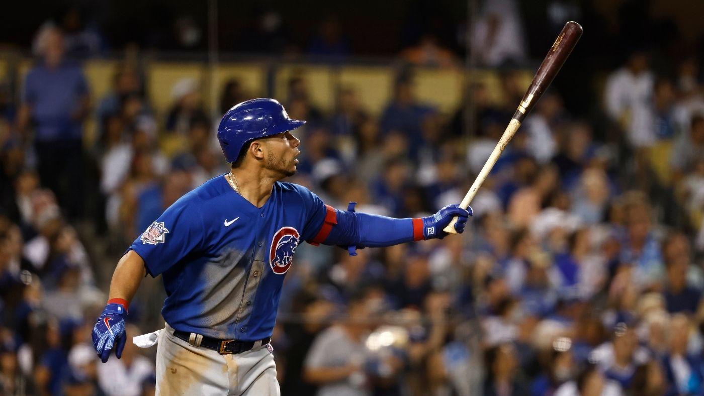 willsoncontreras.jpg