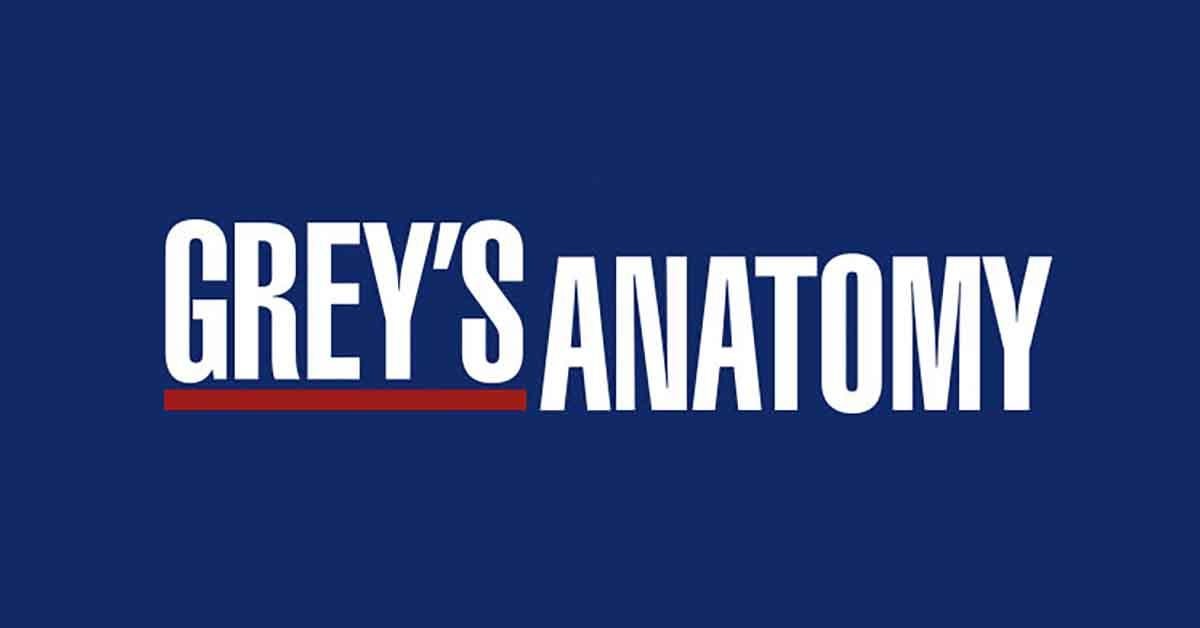 Grey's Anatomy Season 20 Finale Leaves Grey Sloan Doctors' Fates in ...