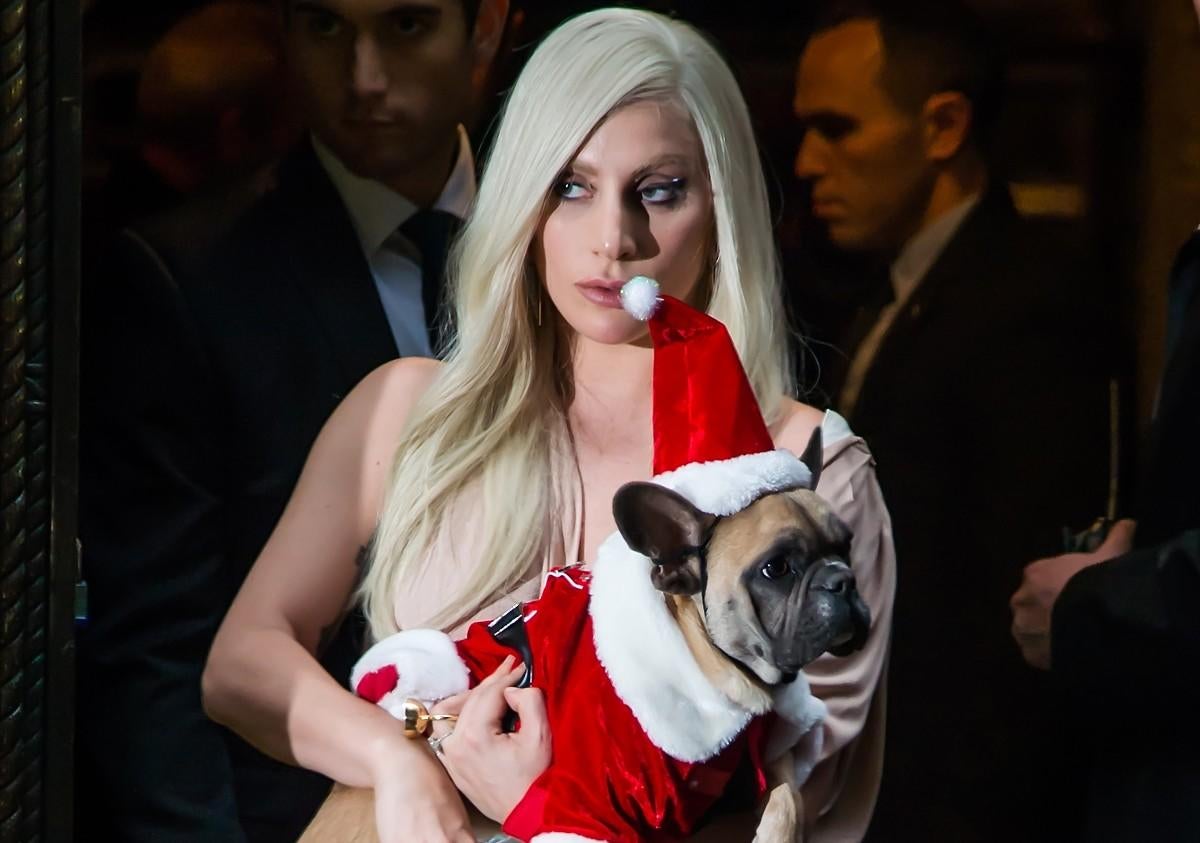 Lada Gaga holding her dog Stella.