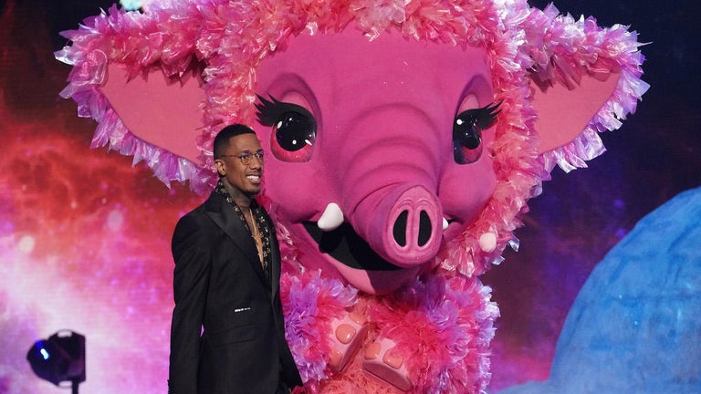 'The Masked Singer' Live Updates: Baby Mammoth Unmasked