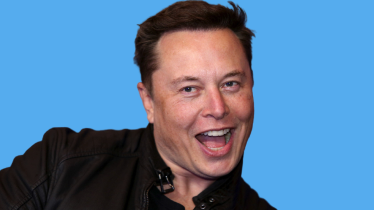 Elon Musk Says Twitter Deal Can't Move Forward Until He Sees Proof of ...