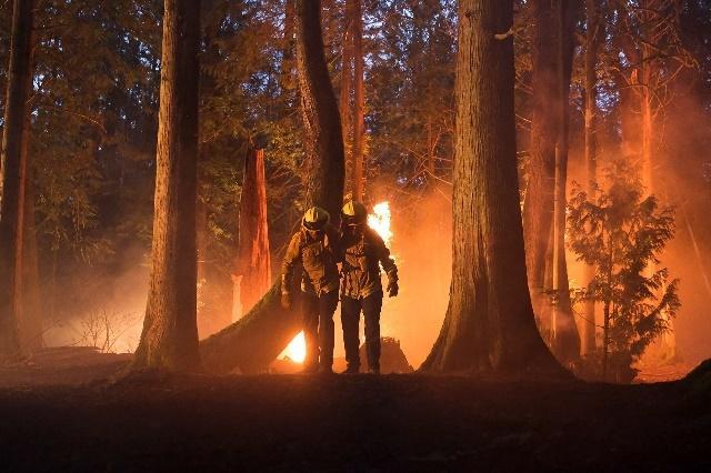 cbs-2022-2023-schedule-fire-country.jpg cbs-2022-2023-schedule-fire-country.jpg