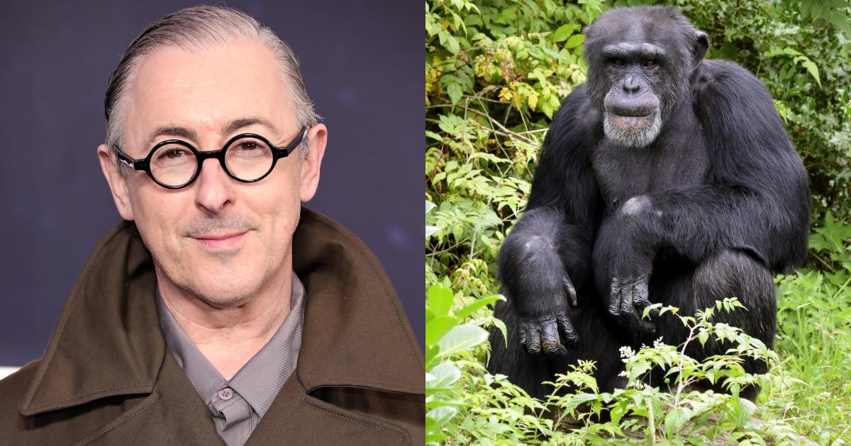 alan-cumming-chimpanzee-getty-images