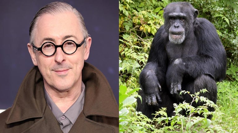 Mystery of Alan Cumming's Chimpanzee Co-Star From 'Buddy' Just Took a Huge Turn