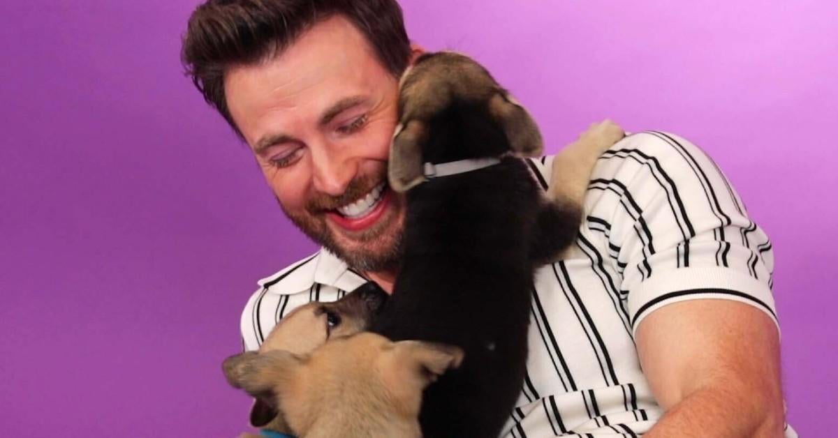 Chris Evans Gives Adorable Interview With His Dog Dodger 