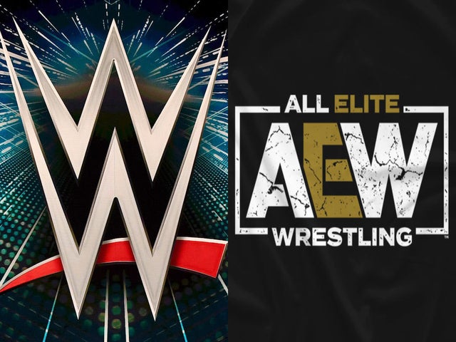 WWE Alum and AEW Alum Reveal They're Expecting a Baby Boy Together