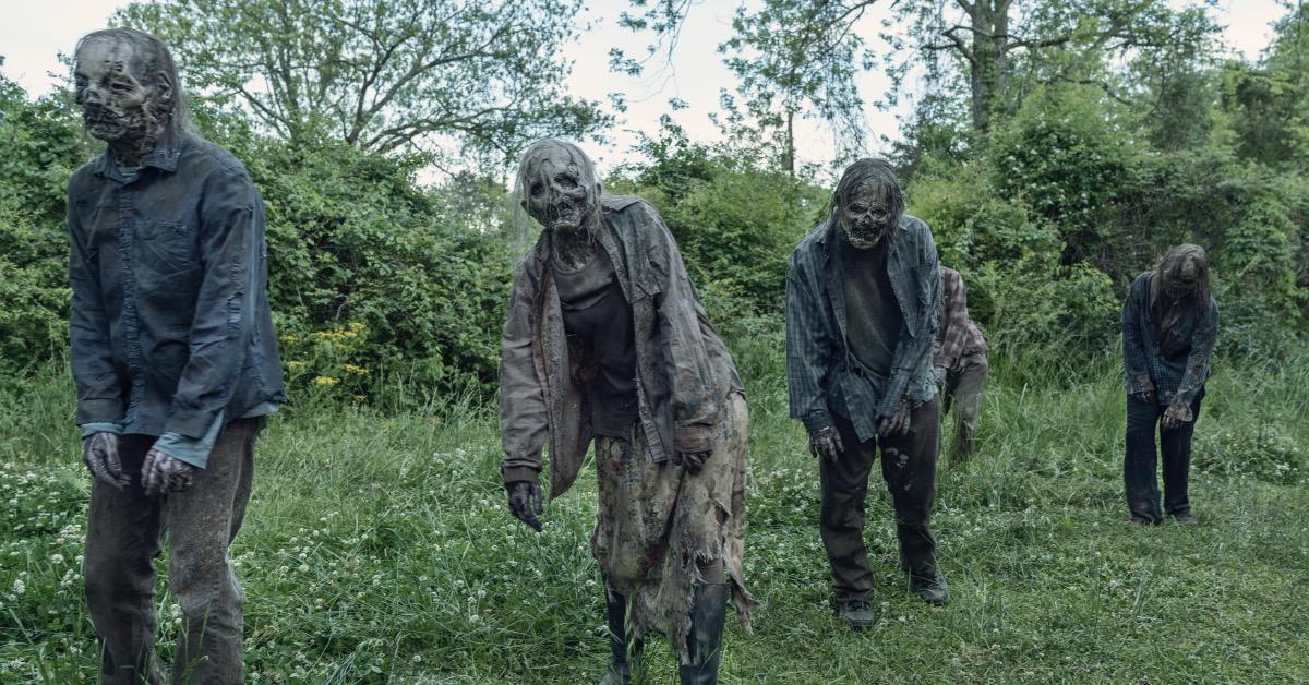 the-walking-dead-season-11-zombies-walkers