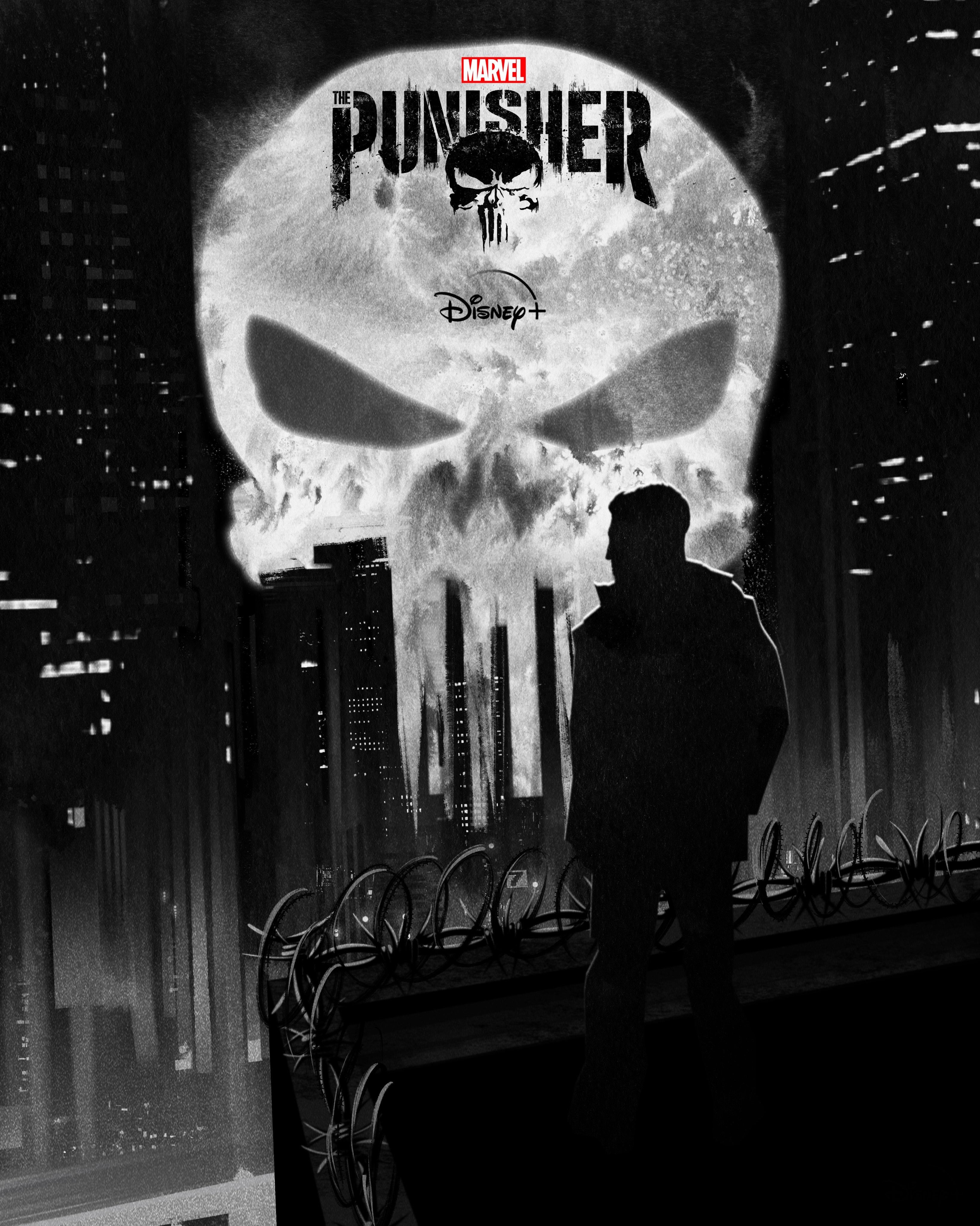 Marvel's Defenders and Punisher Get New Disney+ Posters