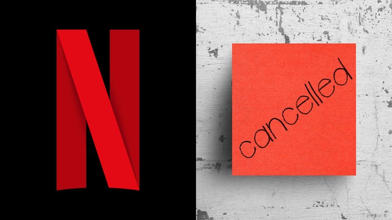 Netflix Cancels Another Show, Season 2 Status Unclear