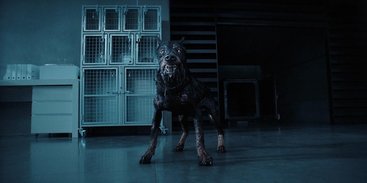 Resident Evil dog.  jpg