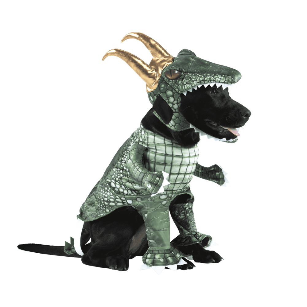 marvel-alligator-loki-dog-walker-costume.png