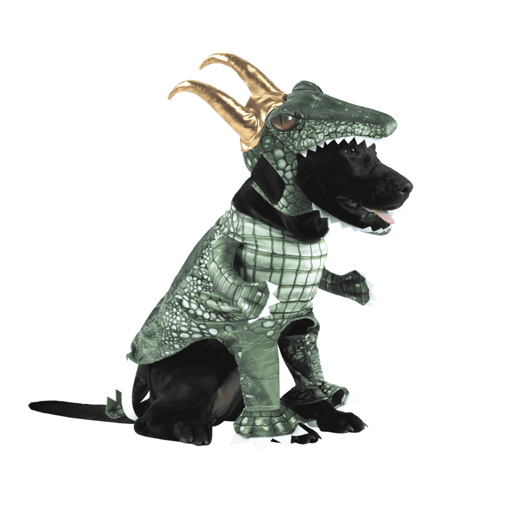 marvel-alligator-loki-dog-walker-costume.png marvel-alligator-loki-dog-walker-costume.png