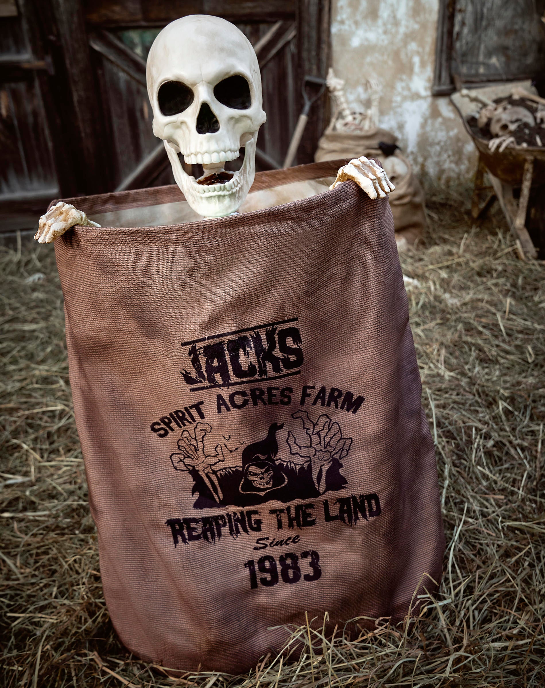 spirit-halloween-bag-o-bones.jpg spirit-halloween-bag-o-bones.jpg