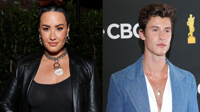 Demi Lovato Pours Their Heart out For Shawn Mendes After He Postpones Tour for Mental Health Break