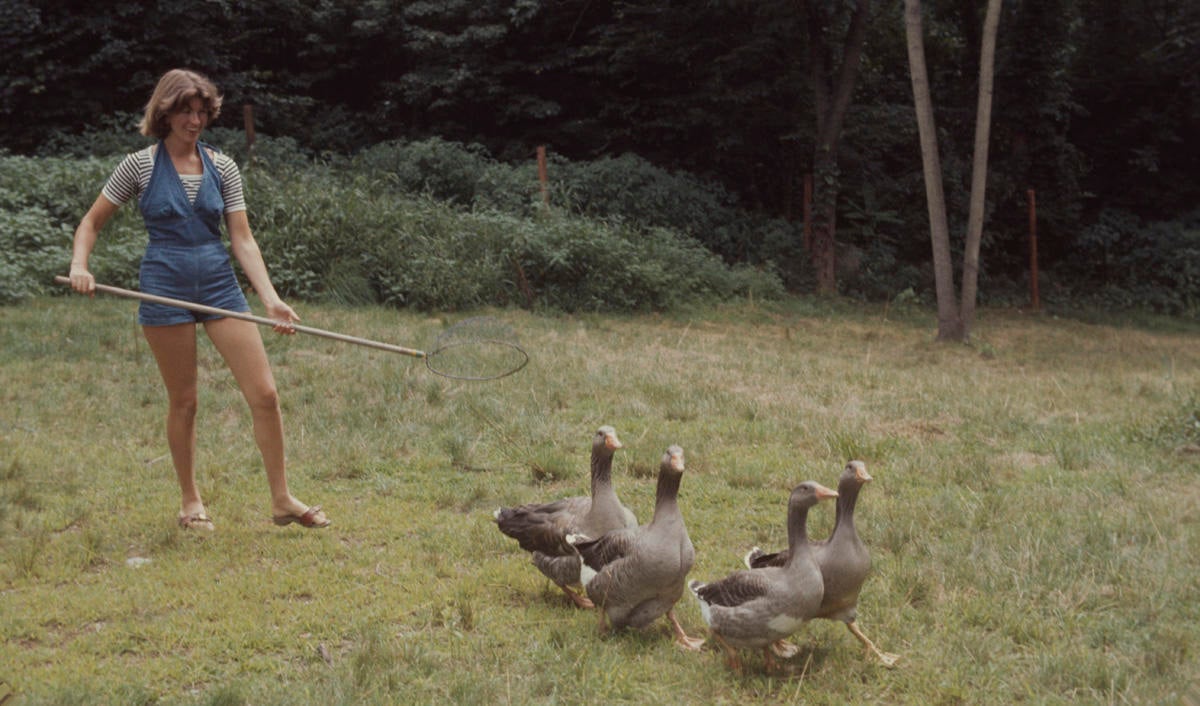 Martha Stewart At Home Martha Stewart At Home