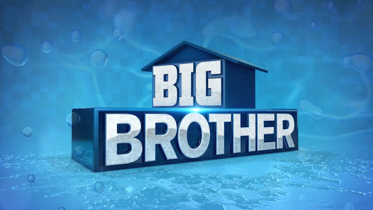 Married 'Big Brother' Couple Reportedly Headed for Divorce