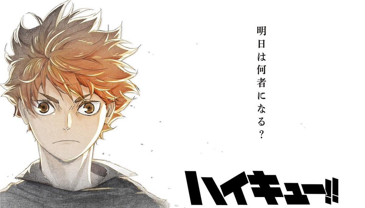 Haikyuu!! (Haikyu!!) 