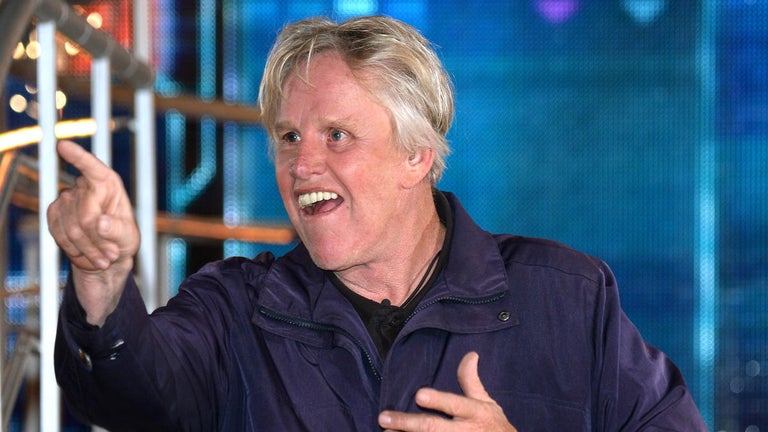Gary Busey Charged on Sexual Offense Counts