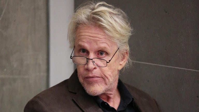Gary Busey Accused of Hit-and-Run