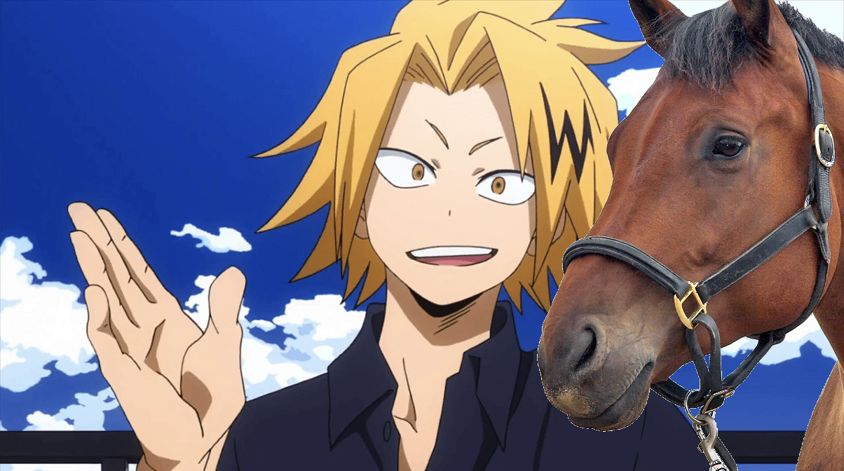 my-hero-horse