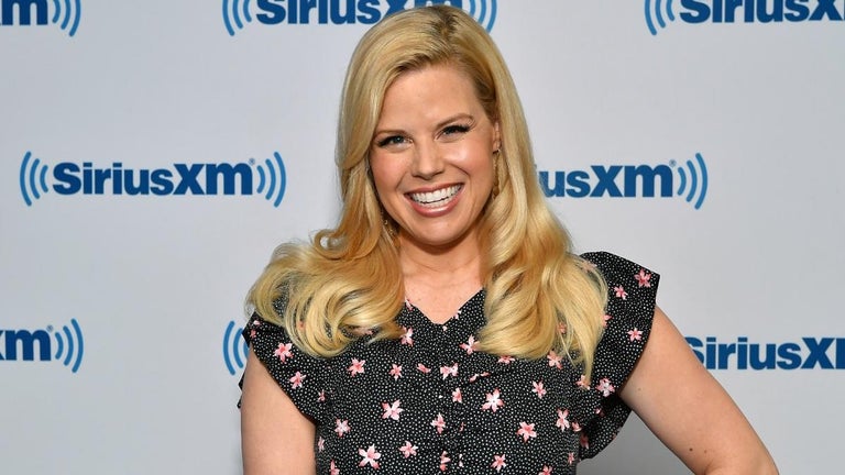 'Wicked' Actress Megan Hilty's Sister, Brother-in-Law and Their Child Killed in Plane Crash