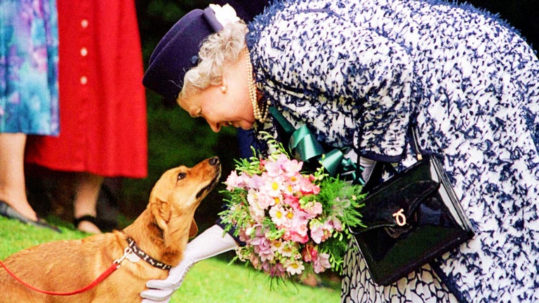 Queen Elizabeth's Will Reveals Who Will Receive Her Pet Corgis, Horses