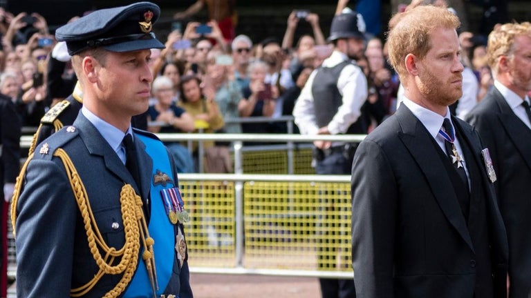 Prince Harry Didn't Salute Queen Elizabeth's Coffin for Specific Reason