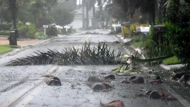 Hurricane Ian: Large Tree Branch Strikes Weather Channel Reporter on Live TV
