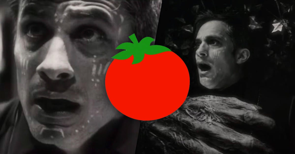 The Night  Rotten Tomatoes