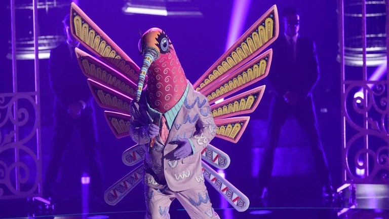 'The Masked Singer': Hummingbird Is a Boy Band Legend