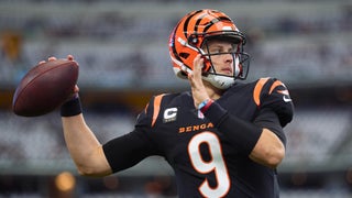 Former Cincinnati Bengals Quarterback Ryan Fitzpatrick to Retire