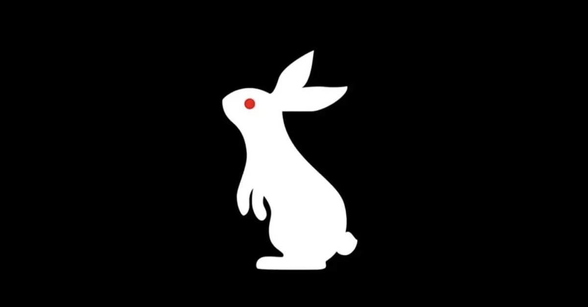 wwe-white-rabbit