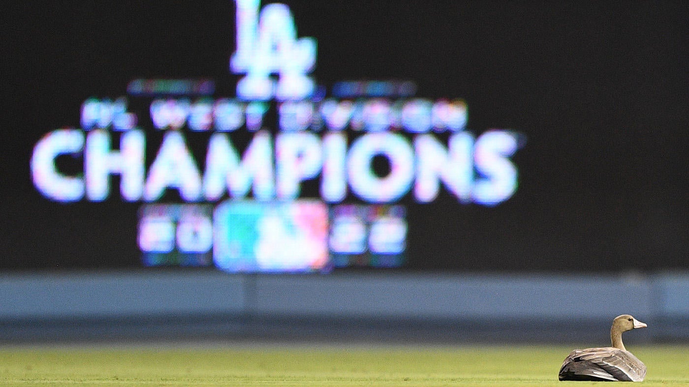 Padres, Braves, a goose win NLDS games, plus previewing Thursday Night Football