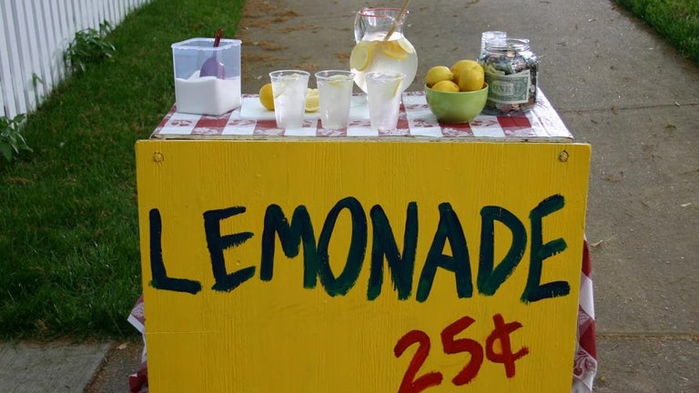 Child's Lemonade Stand Scammed by Jerk With Fake $100 Bill