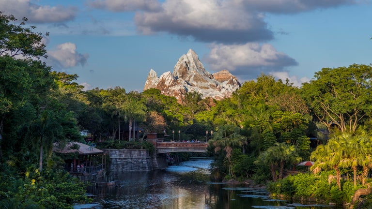 Disney World's Animal Kingdom's Top Thrilling Attractions and More