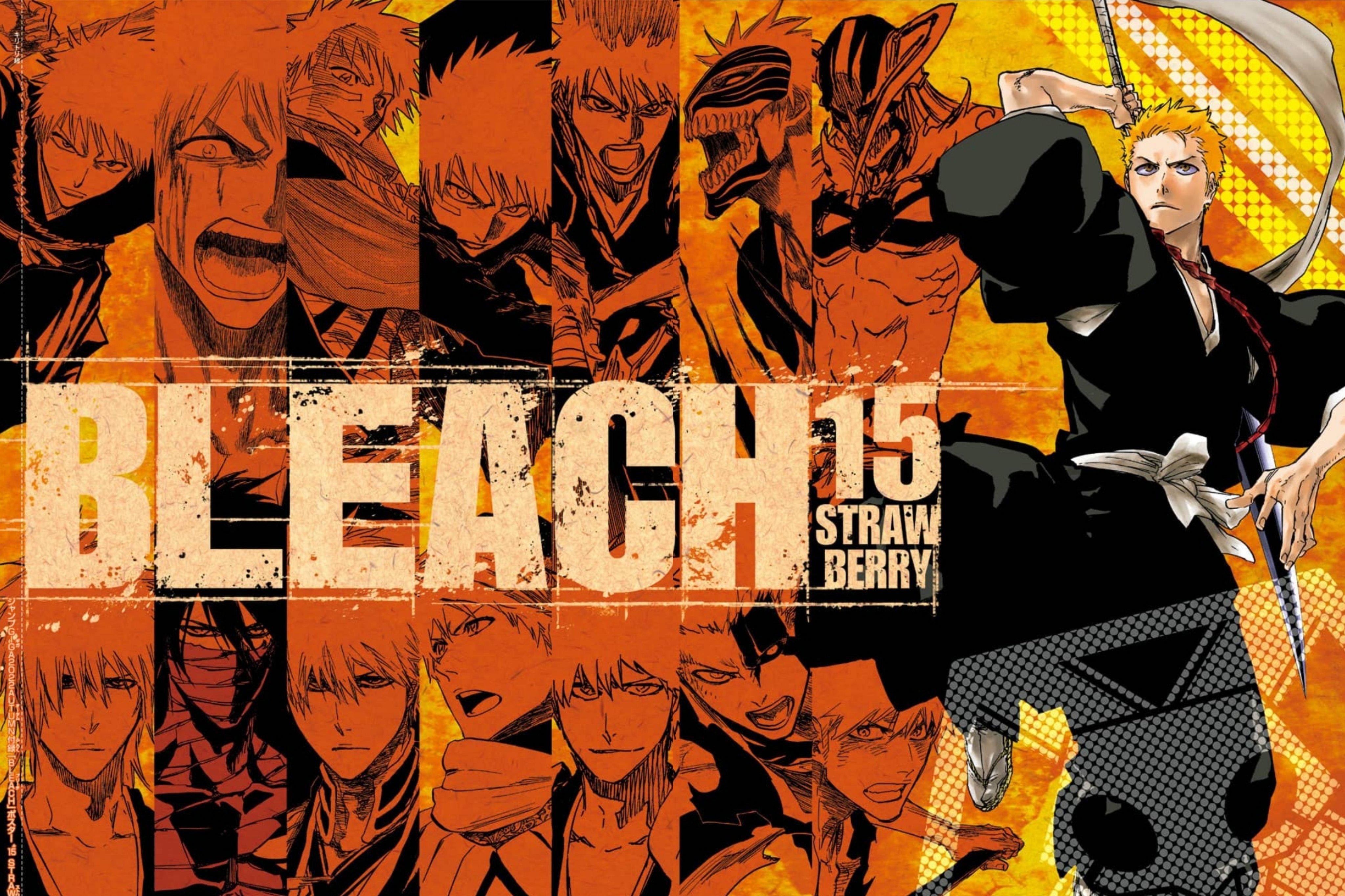 bleach-15.jpg bleach-15.jpg