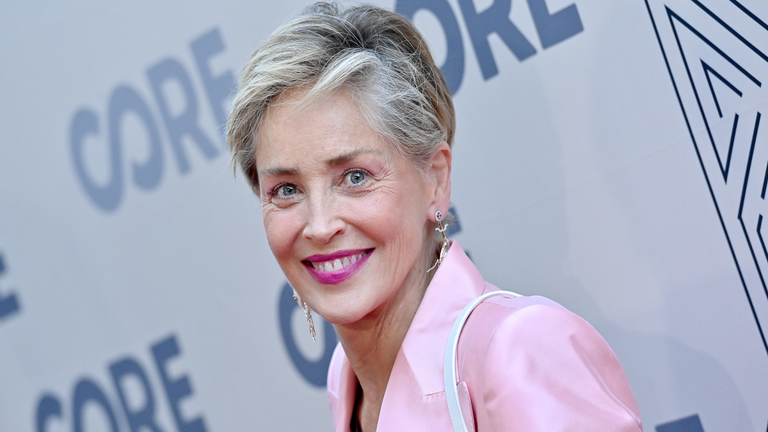 Sharon Stone Reveals She Was Misdiagnosed by Doctor Who Missed a 'Large Fibroid Tumor'